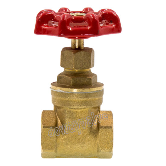 OEM/ODM Forged Brass Gate Valve for Irrrigation Water System with Iron Handle From Chinese Factory（DW107）