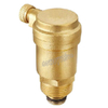 Brass Safety Valve for Heating System (DW-RV046)