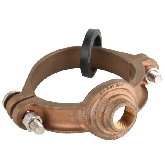 China Factory OEM High Qualitybronze Self-Tapping Ferrule Straps (DW-GF010)