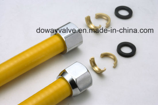 High Quality Stainless Steel Gas Hose with Connector (DW-GH14)