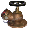 Bib-Nose Pattern Bronze Fire Hydrant Valve (DW-FV001)