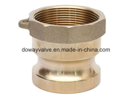 Brass Camlock Coupling Male End Adapter(TYPE DP)
