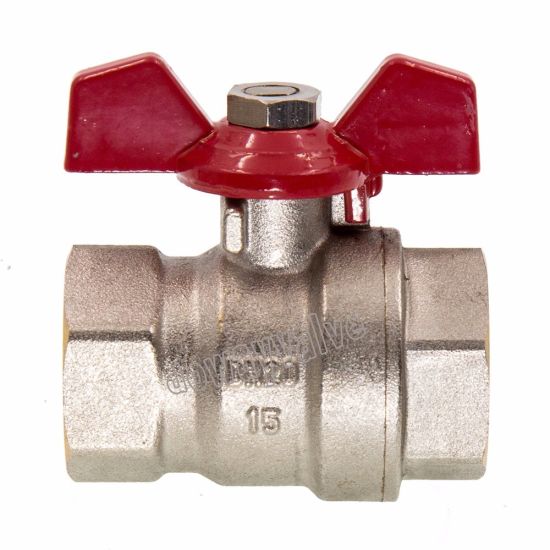 Pn30 Full Port Steel T Handle Ball Valve with Union (DW-B253)