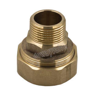 Brass Male Union Insert for PPR Fitting （DW-PP003）