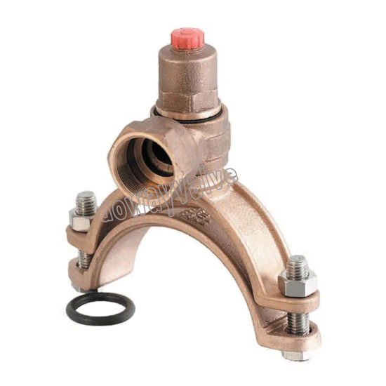 Bronze Saddles Clamp for PVC Pipe (DW-GF004)