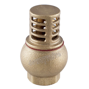 Pn20 Forged Brass Foot Valve with Filter (DW-CV012)