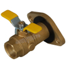 Forged Brass Gas Valves with NPT Threaded End （DW-B213）