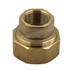 Brass Male Union Insert for PPR Fitting （DW-PP003）