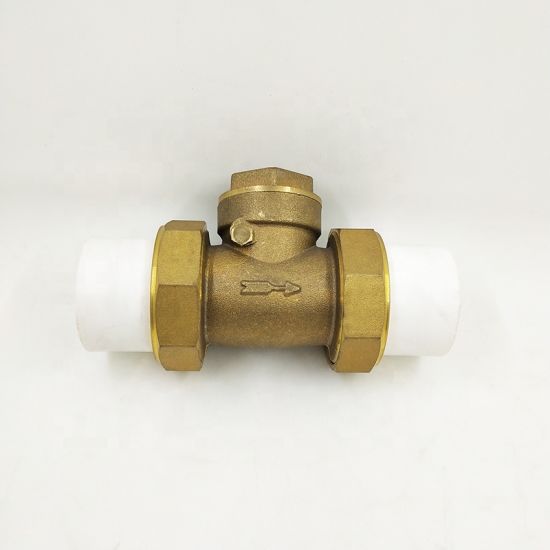 China Factory 3/4 Inch PPR Horizontal Brass Check Valve with Union (DW-CV027)
