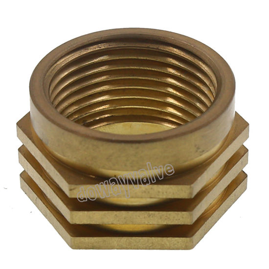 Customized Plated Brass Male PPR Insert (DW-PP015)