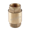 OEM/ODM Factory Forged Brass Non Return Spring Check Valve Inline Plasted in Polymer (DW-CV014)