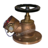 Bronze Hose Valve Fire Hydrant Valve (DW-FV004)
